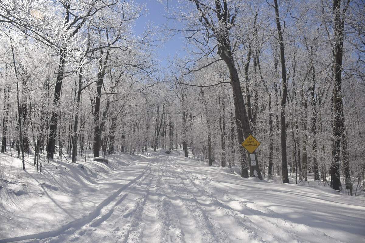 Snowy road in Forbes State Forest near Mount Davis, Somerset County, PA